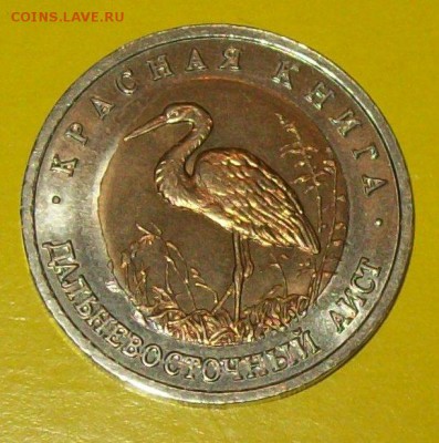 50руб.1993г. Красная Книга "Аист",красивый брак) , до 03.01. - 103_0746.JPG