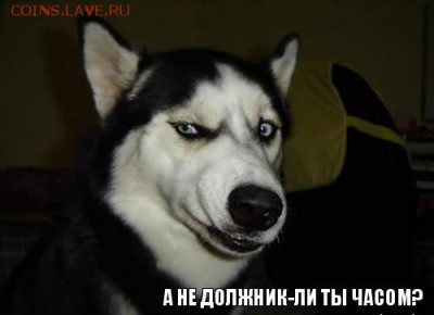 ПОДАРКИ- В НОВЫЙ ГОД БЕЗ ДОЛГОВ)) - comics_Sobaka-podozrevaka_orig_1335359581