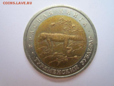 с 200 кк 1993 Зублефар до 05.01.2017 в 22:30 - IMG_1900.JPG