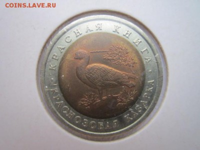 с 200 кк 1993 Казарка анц до 05.01.2017 в 22:30 - IMG_1896.JPG