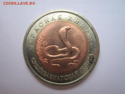 с 200 кк 1993 Кобра до 05.01.2017 в 22:30 - IMG_1892.JPG