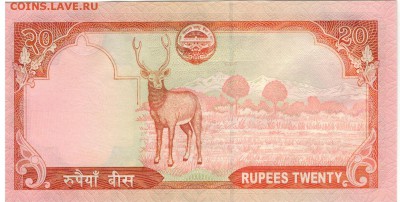 НЕПАЛ 20 РУПИЙ 2010 ОЛЕНЬ ДО 05.01.2017 В 22.00МСК (В389) - 1-1неп20