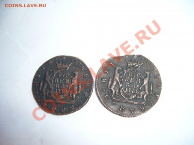 копейка 1778КМ Сибирь - 11P1050476.JPG