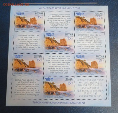 Олимпийские зимние игры в Сочи.6.01.17 22-00 - IMG_8219.JPG