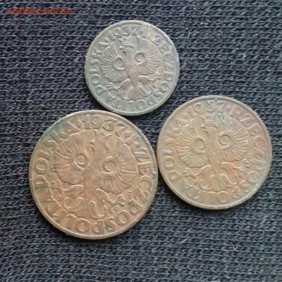 1,2,5 грошей 1937 Польша,до 04.01. - kQQKb2wHNHg