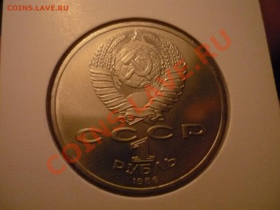 год мира, шалаш!. до 15.01 22-00 - P1040089.JPG