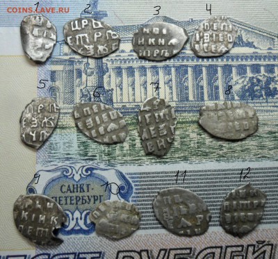 12 чешуек помощь в оценке - SAM_9064