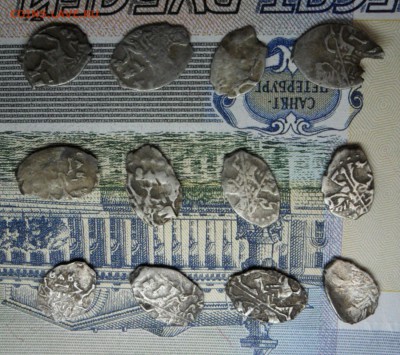 12 чешуек помощь в оценке - SAM_9068