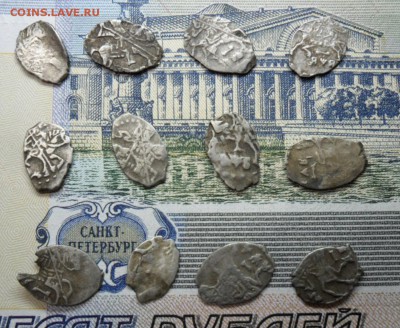 12 чешуек помощь в оценке - SAM_9067
