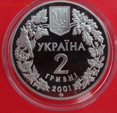 Украина 2001 Фауна - Рысь до 08.01.2017г 22-00 - DSC05566.JPG