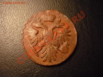 денга, 1739г, короткий аук, до 16.01 22-00 красивая! - P1040083.JPG