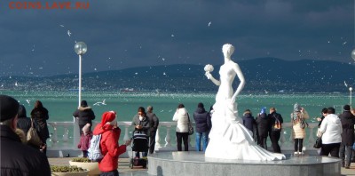 ФОТО - просто фото. Те что получились удачными. - Чайки-2