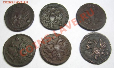 Полушки  1735, 1736, 1738, 1749, 1750, денежка 1853. - 3