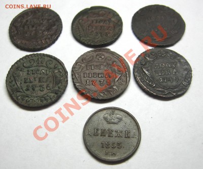 Полушки  1735, 1736, 1738, 1749, 1750, денежка 1853. - 1