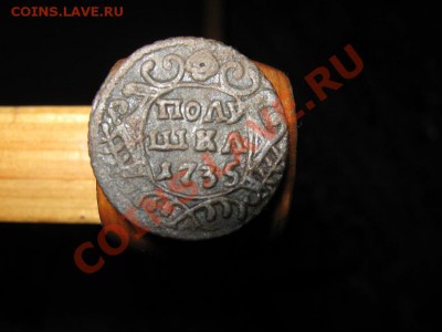 Полушки 1735 , 1746 и 1748 гг. на оценку. - IMG_2993