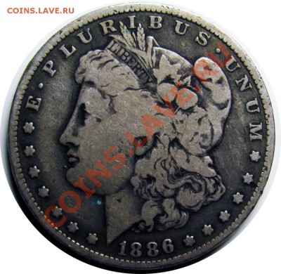 N51 Morgan Dollar 1886o F до 21.01 в 22°° - N51 Morgan Dollar 1886O F_1