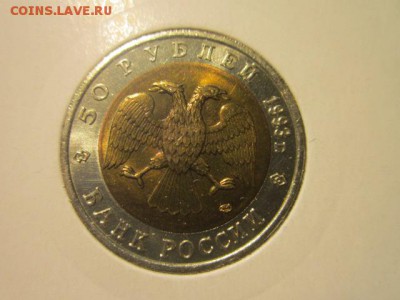 с 200 кк 1993 Зублефар до 11.01.2017 в 22:30 - IMG_1975.JPG