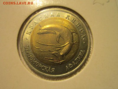 с 200 кк 1993 Афалина до 11.01.2017 в 22:30 - IMG_1976.JPG