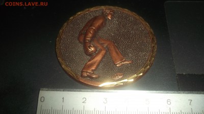 Позолоченная брошка и Медаль 1985г - DSCF3719.JPG