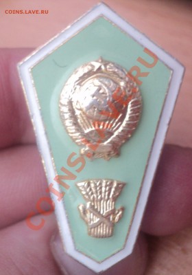 3 знака на Оценку. - DSC02305.JPG