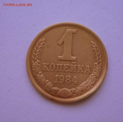 1 к.-1984 год шт.1.42 Ф-113 Короткие ости.12.01.17 22-20 МСК - SAM_2566.JPG