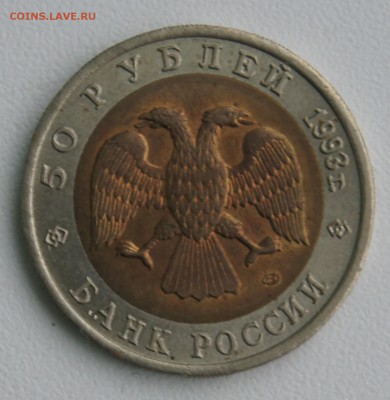 КК Туркменский Зублефар - DSC04069.JPG