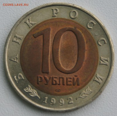 КК Краснозобая Казарка - DSC04071.JPG