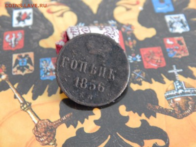 1 копейка 1856 г. ЕМ - DSCN9243.JPG