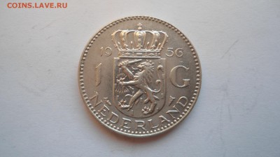 Нидерланды 1 гульден 1956 с 200 рублей до 14.01.2017 - DSC04966.JPG