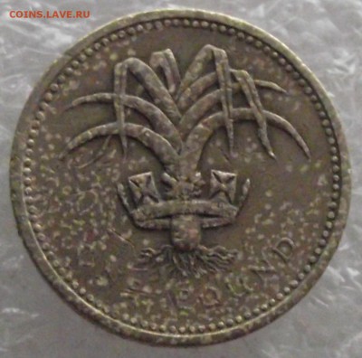 50 грошей 1923,Польша+фунт,Англия,до 10.01,в 22.00мск - DSCF4170.JPG