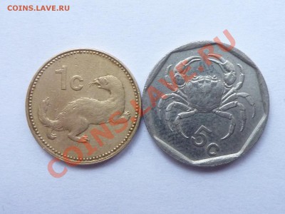 МАЛЬТА с КРАБИКОМ и с ХОРЬКОМ до 21.01.11 в 22-00 - MEMO0020.JPG