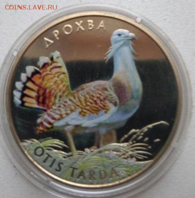Украина Дрофа 2013 - MoLE47ElHaY