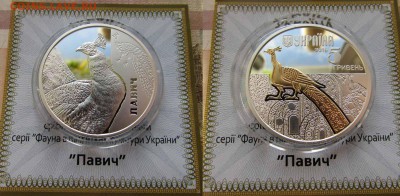 Украина 5 гривен 2016  Волк, Павлин, Олень. Серебро,позолота - живпавлин
