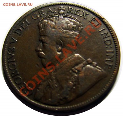 N19 1¢ Ньюфаундленд 1913 F до 22.01 в 22°° - N19 NFLD 1c 1911 F_2