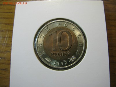 Краснозобая казарка 1992 раскол до 22.00 13.01 - IMG_0101.JPG