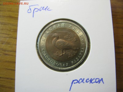 Краснозобая казарка 1992 раскол до 22.00 13.01 - IMG_0100.JPG