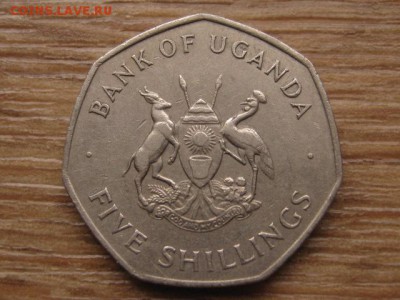 Уганда 5 шиллингов 1972 до 13.01.17 в 22.00 М - IMG_2277.JPG