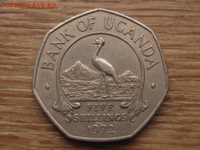 Уганда 5 шиллингов 1972 до 13.01.17 в 22.00 М - IMG_2276.JPG