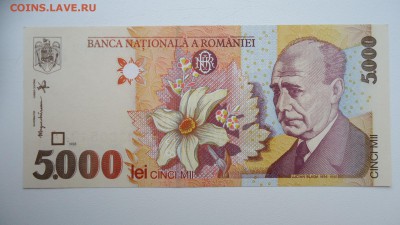 РУМЫНИЯ 5000 ЛЕЙ 1998 UNC ДО 17.01 21:00 МСК - DSC03682.JPG