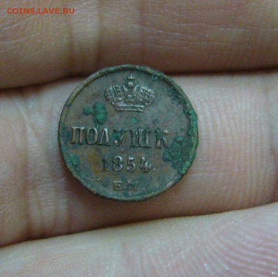 Полушка 1854 - 14-01-17 - 23-10 - 2