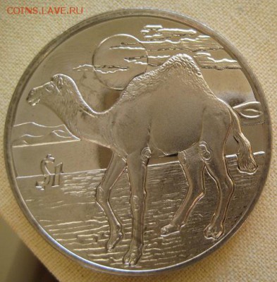 1$ 2006, Сьерра Леоне, Верблюд, 2005-2007, до 22.00 18.01. - IMG_0203.JPG