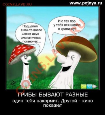 юмор - грибы