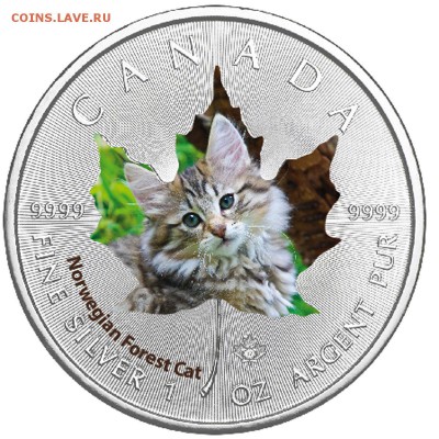 Кошки на монетах - 2017-2