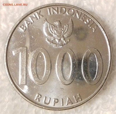 ИНДОНЕЗИЯ 1000 рупий 2010 (в блеске) до 18 янв. 22-00 мск - ИНДОНЕЗИЯ 1000 рупий 2010 20170113_200025
