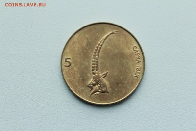  22:00 - IMG_0104.JPG