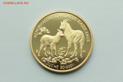  22:00 - IMG_0164.JPG