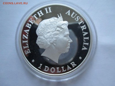 1 $ 2012 Австралия лягушка до 19 1 17   22 00 мск - IMG_0080.JPG