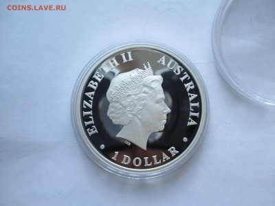1 $ 2012 Австралия акула   до 19 1 17   22 00 мск - IMG_0088.JPG