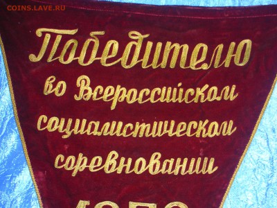 бархатный вымпел - DSCN9712.JPG