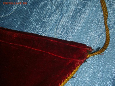 бархатный вымпел - DSCN9717.JPG
